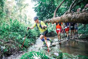 BIB: 
                            <button type="button" onclick="openModal(25459837)" class="btn btn-primary btn-sm float-right btn-popup" data-toggle="modal" data-target=".modal-high-quality">
                        <i class="fas fa-shopping-cart"></i> Add to Cart
                    </button>
                                            <button type="button" onclick="isThisMe(25459837, true)" class="btn btn-success btn-sm float-right btn-popup btn-isme hidden" data-toggle="tooltip" data-placement="bottom" title="นี่คือรูปของคุณใช่ไหม คลิกที่นี่เพื่อเอาเข้าอัลบั้ม">
                        <i class="fas fa-plus"></i> Add to album
                    </button>
                    <button type="button" onclick="isThisMe(25459837, false)" class="btn btn-warning btn-sm float-right btn-popup btn-isnotme hidden">
                        <i class="fas fa-ban"></i> Remove from album
                    </button>